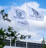 Foto viser 3 Novo Nordisk flagg.