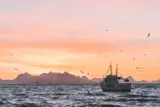 Photo of a boat sailing into the sunset