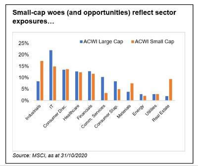 small cap woes and opportunities.jpg