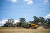 picture of a tractor in a soybean field