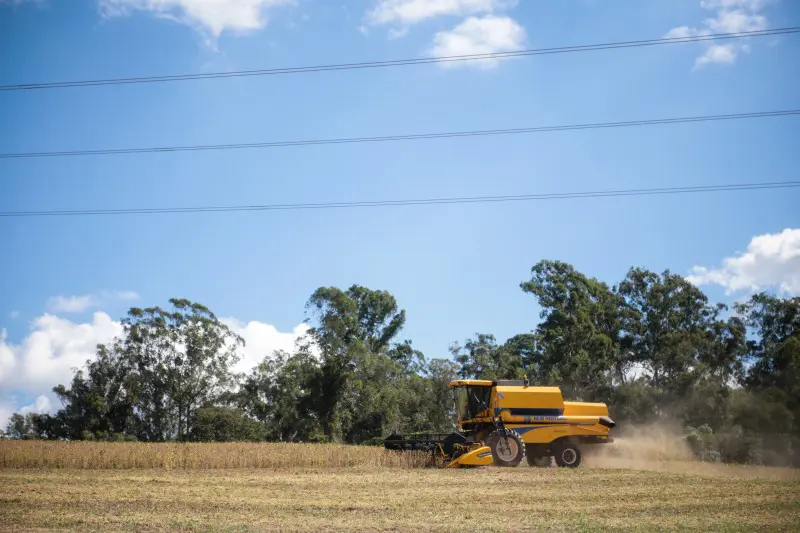 picture of a tractor in a soybean field